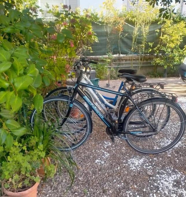 Just Outside The Wall: Free A/C, Bikes And Wifi Lucques Extérieur photo