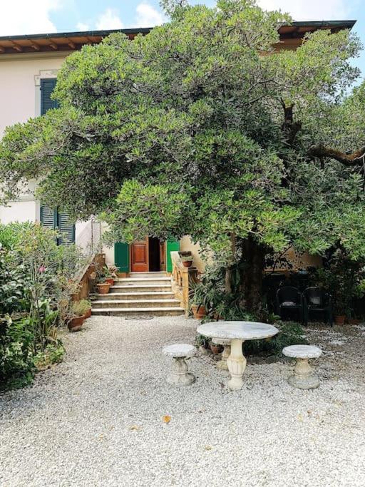 Just Outside The Wall: Free A/C, Bikes And Wifi Lucques Extérieur photo